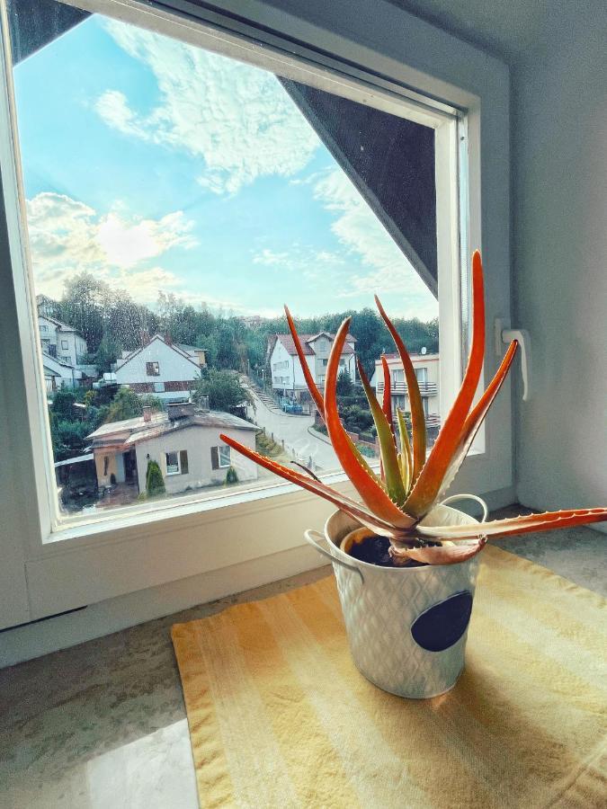 Urban Jungle - Luksusowy Apartment W Gdyni. Гдиня Екстериор снимка